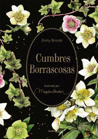 CUMBRES BORRASCOSAS (ALMA)