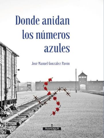 DONDE ANIDAN LOS NÚMEROS AZULES (ACONGAGUA)