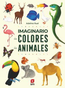 IMAGINARIO DE COLORES DE ANIMALES (SM)