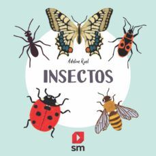 INSECTOS (SM)