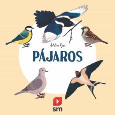 PÁJAROS (SM)