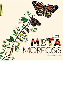 LAS METAMORFOSIS (LU)