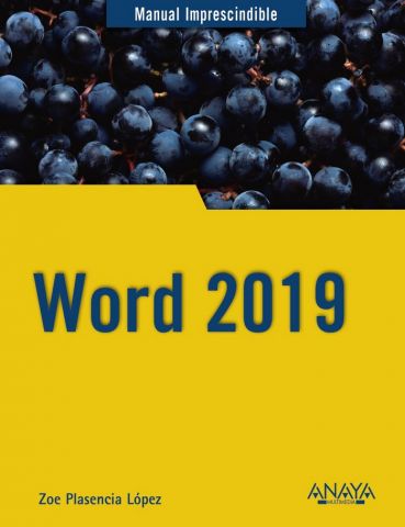 WORD 2019 (ANAYA MULTIMEDIA)