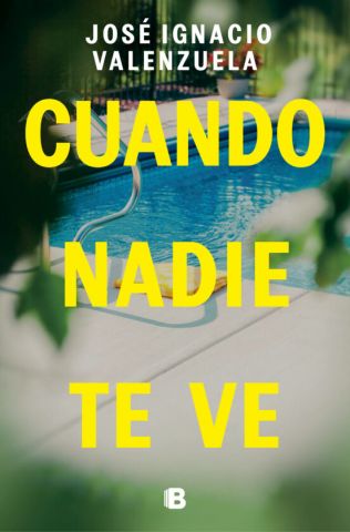 CUANDO NADIE TE VE (EDICIONES B)