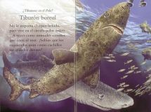 EL MUNDO DE LOS TIBURONES (SUSAETA)