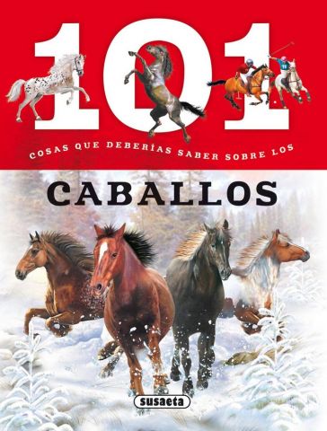 101 COSAS QUE DEBERÍAS SABER SOBRE LOS CABALLOS