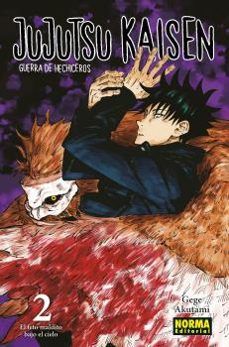 JUJUTSUN KAISEN 2 (NORMA)