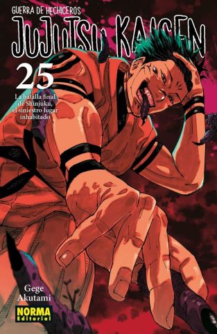 JUJUTSU KAISEN 25 (NORMA)