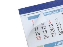 FINOCAM CALENDARIO FALDILLA MIX F94 43X31 2025