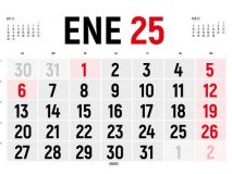 INGRAF CALENDARIO PARED  A3 42x30cm DOBLE 2025